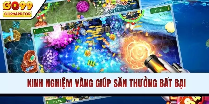 Kinh nghiệm vàng giúp săn thưởng bất bại